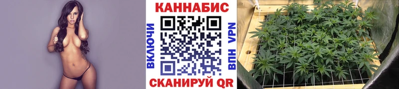 Бошки Шишки тримм  Лахденпохья 